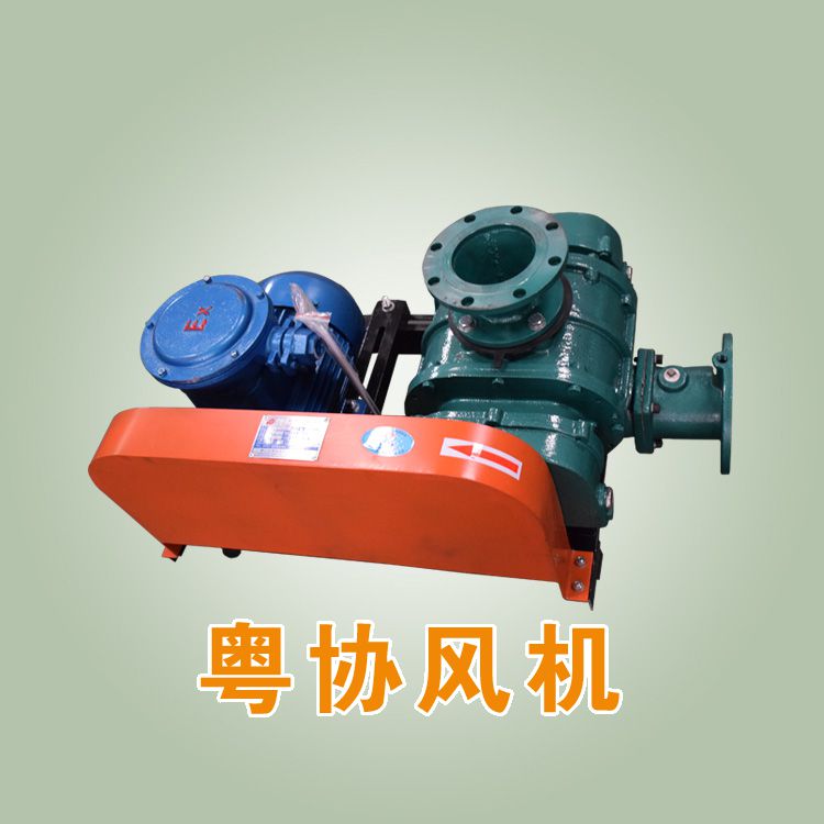 廣州三葉羅茨風(fēng)機.jpg