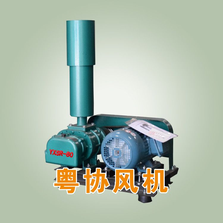 高壓羅茨風機.jpg