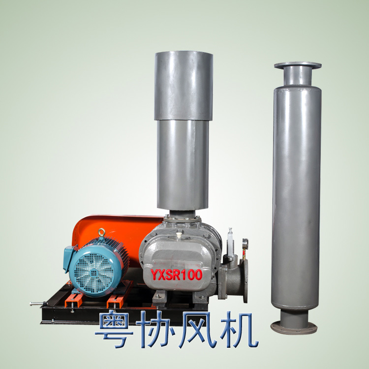 環(huán)保羅茨風(fēng)機(jī)
